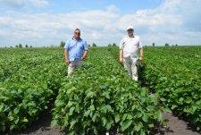 Field Day in Kursk Oblast